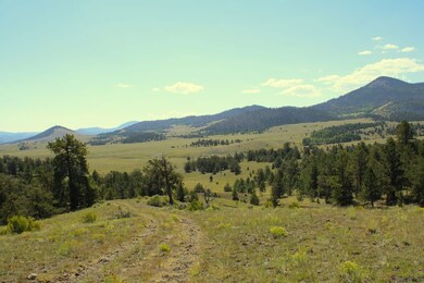 0 State Hwy unit 9 24653908, Guffey, CO 80820 - photo 6
