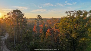 TBD Rodney Rd, Port Gibson, MS 39150 - photo 7