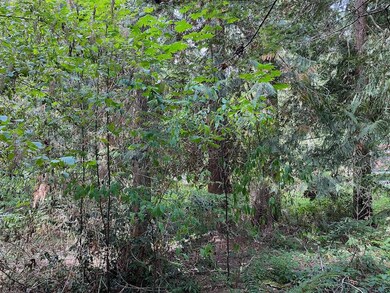 157 Park Dr, Point Roberts, WA 98281 - photo 4