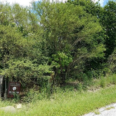 0 Hopkins unit 22999657, Beasley, TX 77417 - photo 2