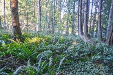 0 W Lake Ketchum Rd unit 1695891, Stanwood, WA 98292 - photo 2