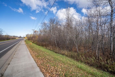42xa Stebner Rd, Hermantown, MN 55811 - photo 4