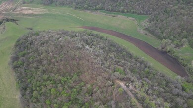 tbd Cty13, Pleasant Hill Township, MN 55943 - photo 6