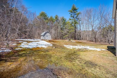 Back yard, woods, and shed