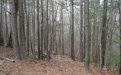 Additional View