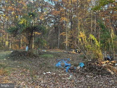 11400 Railroad Ln, Locust Grove, VA 22508 - photo 5