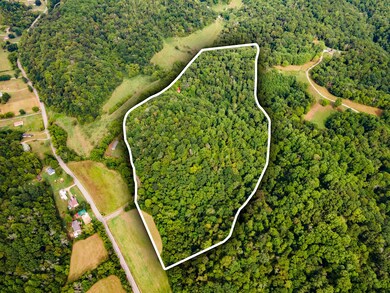 3045 Robert Skelley Rd, Columbia, TN 38401 - photo 4