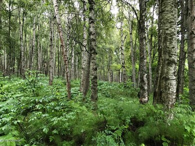 Well Wooded