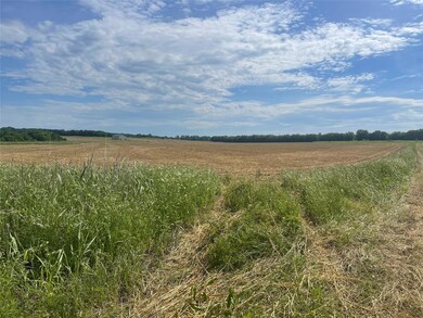 1428 Hagerman Rd, Pottsboro, TX 75076 - photo 3