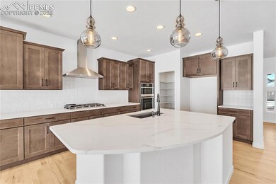 74 W Lost Pines Dr, Monument, CO 80132 - photo 4