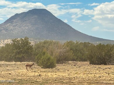 0 W True Grit Trail Lot A -- unit 6880737, Ash Fork, AZ 86320 - photo 5