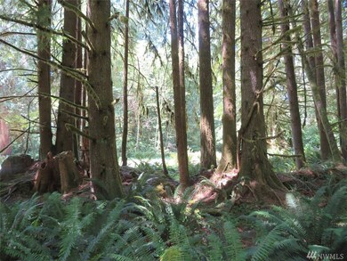 0 Deer Park Ln, Toledo, WA 98591 - photo 7