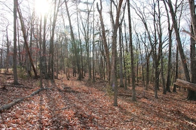 0 Supinlick Ridge Rd unit LotWP002, Mount Jackson, VA 22842 - photo 6