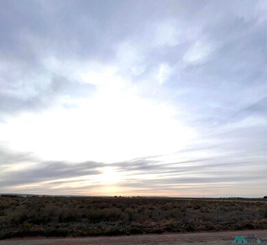 TBD Tovar Rd, Carlsbad, NM 88220 - photo 2