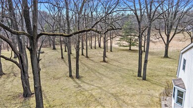 Yard (1)