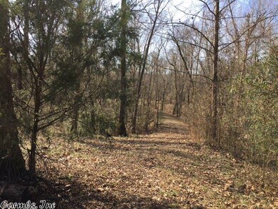 Lot 8 Cedar Glade, Pangburn, AR 72121 - photo 4