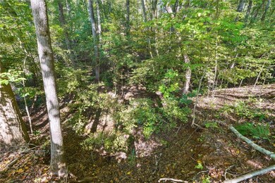 View of nature