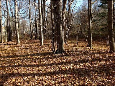 Land/Lot.
