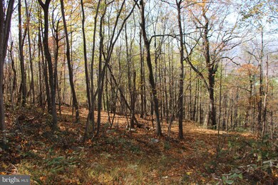 0 Cedar Rd, Strasburg, VA 22657 - photo 7