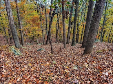 1920 Sierra Trace Rd, Denton, NC 27239 - photo 7