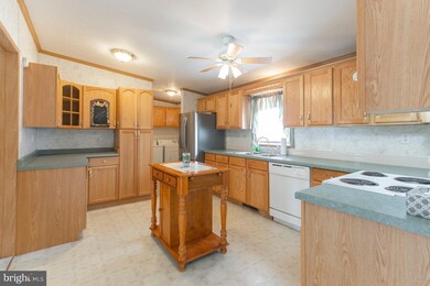 409 White Sands Dr, Media, PA 19063 - photo 4