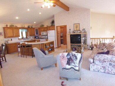 4344 Hickory View Ct, Moline, MI 49335 - photo 6