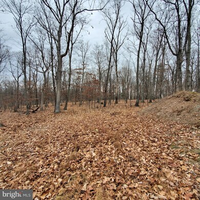 1409 Tabor Rd, Berkeley Springs, WV 25411 - photo 3