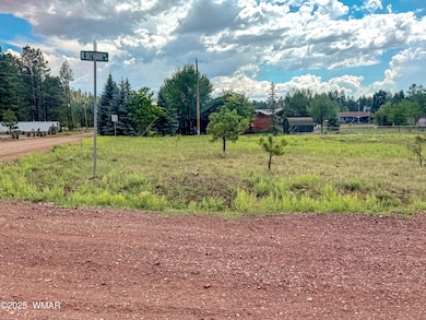 103 W Skyhawk Rd, Pinetop, AZ 85935 - photo 2