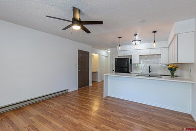 1851 Florida Rd unit 103, Durango, CO 81301 - photo 4