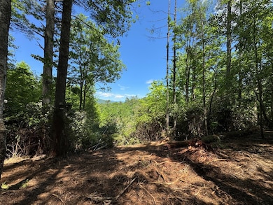 79 Forest Edge Dr, Murphy, NC 28906 - photo 7