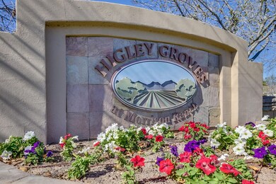 Community Entrance