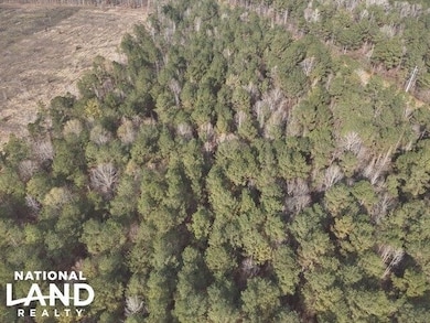 0 Ms Hwy 12 W, Starkville, MS 39759 - photo 6