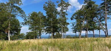 0 Clubhouse Ln unit 1516418, Rising Fawn, GA 30738 - photo 5