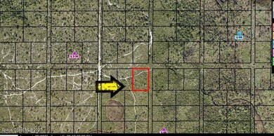 2023-12-09 (4)