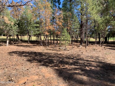 Flat Buildable Lot