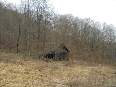 0 Crow Ln unit 3372691, Burnsville, NC 28714 - photo 3