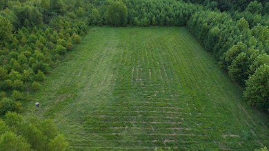 0 Hwy 95 unit 24516955, Morrilton, AR 72110 - photo 5