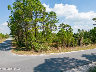 341 Titan Rd SE, Palm Bay, Fl 32909-3
