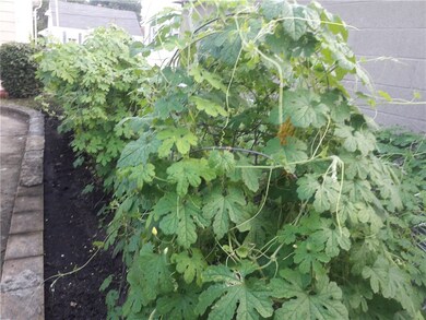 124 Dawson St, Pawtucket, RI 02861 - photo 3