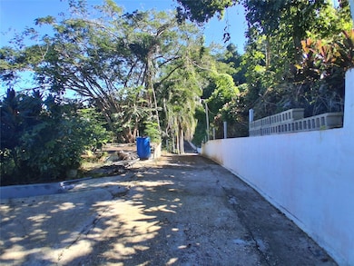 842 km 8.3 Caimito Alto St Sector Camino Pablo Diaz, San Juan, PR 00926 - photo 3