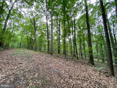 Lot 3 Independence Ln, District 1, VA 22844 - photo 6