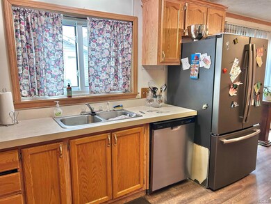 141 Smoky Hill River Ct, Adrian, MI 49221 - photo 5