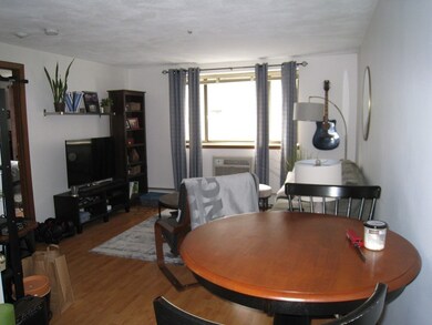 25 Linden Ave unit 15, Somerville, MA 02143 - photo 5