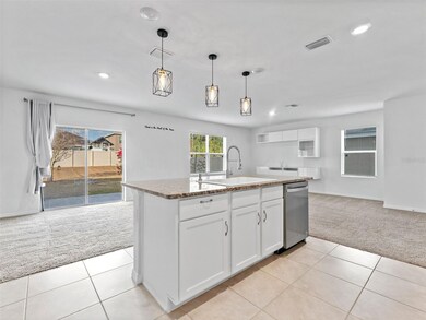 9032 Water Chestnut Dr, Temple Terr, FL 33637 - photo 6