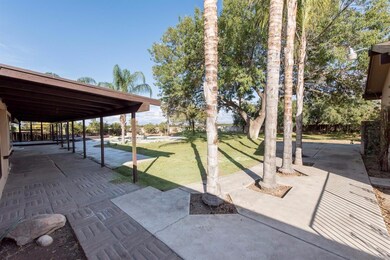 Huge backyard to entertain.