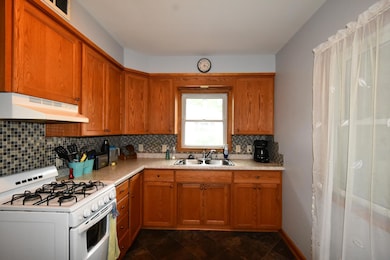 345 E 5th St, Zumbrota, MN 55992 - photo 5