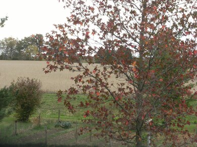 6617 Hitler No 2 Rd, Circleville, OH 43113 - photo 4