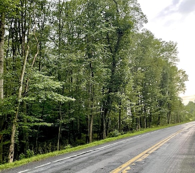 1 Lafayette Ave, Tamaqua, PA 18252 - photo 2