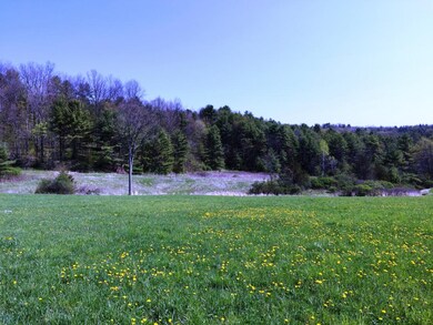 Road Front Meadow