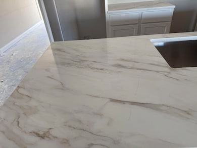 1105 Squirrel Nest Ln, Lexington, KY 40509 - photo 4